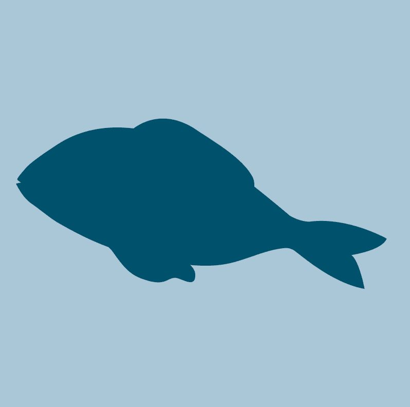 Dark blue silhouette of a generic fish with fins on a light blue background.