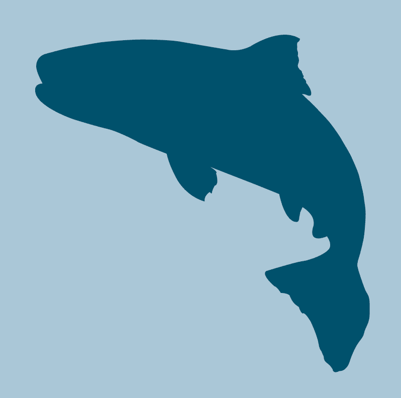 Dark blue silhouette of a salmon leaping out of water on a light blue background.