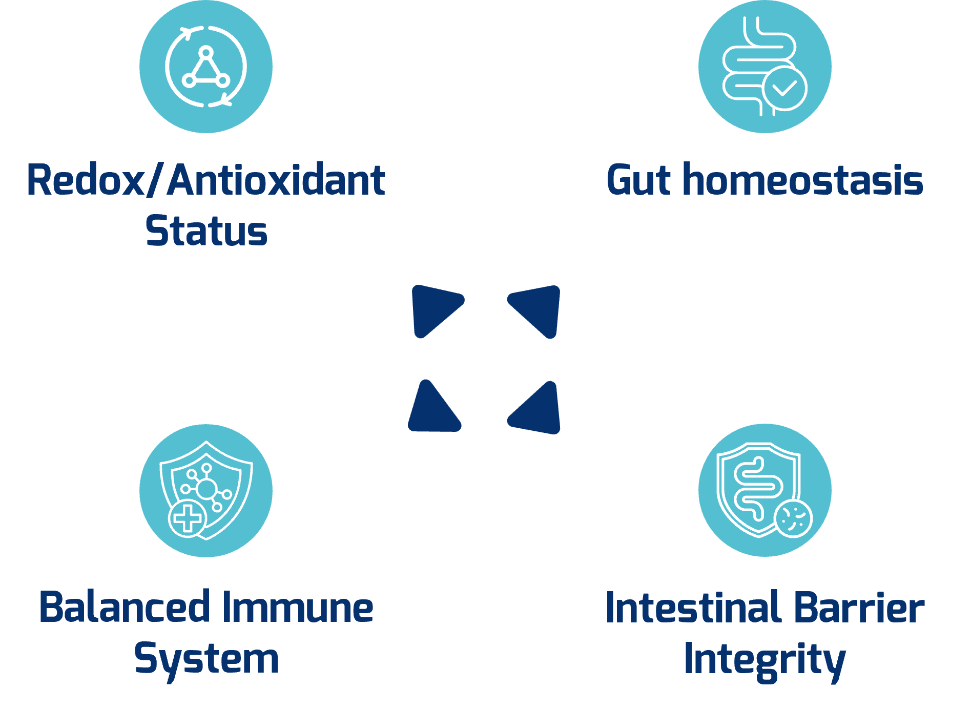Four interconnected health pillars: Redox/Antioxidant Status, Gut Homeostasis, Balanced Immune System, Intestinal Barrier Integrity.