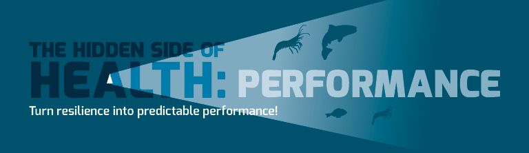 The Hidden Side of Health : texte performatif avec silhouettes d'animaux dans un projecteur sur fond bleu sarcelle foncé.