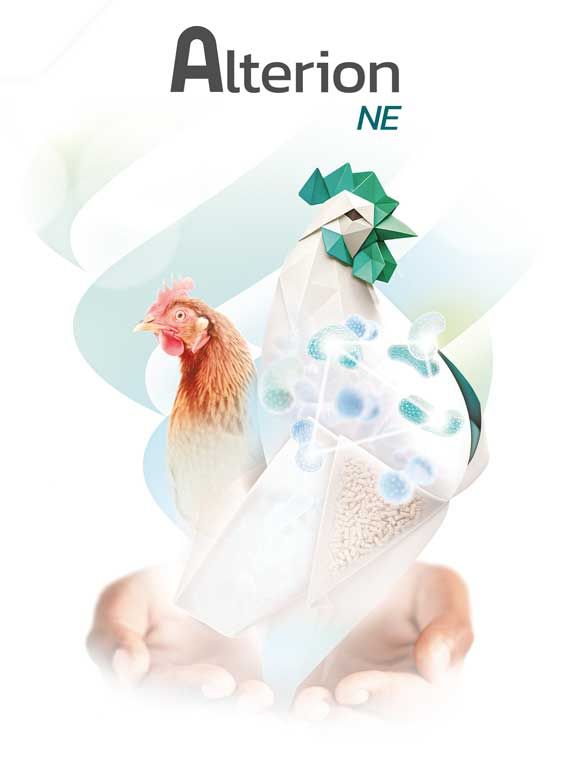 Two stylized chickens, one white with blue spots, one reddish-brown, under 'Alterion NE' logo.