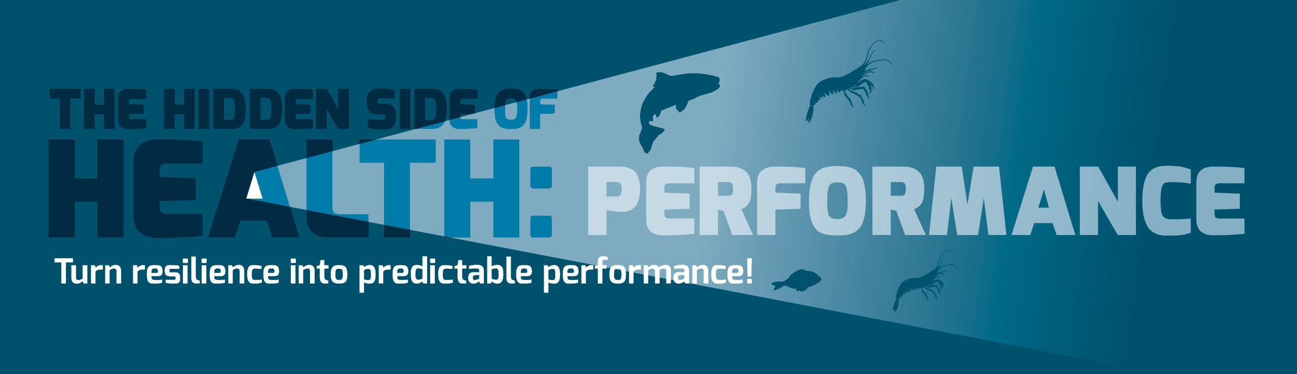 Texte : Le côté caché de la santé : la performance, mettant l'accent sur les résultats prévisibles de la résilience.