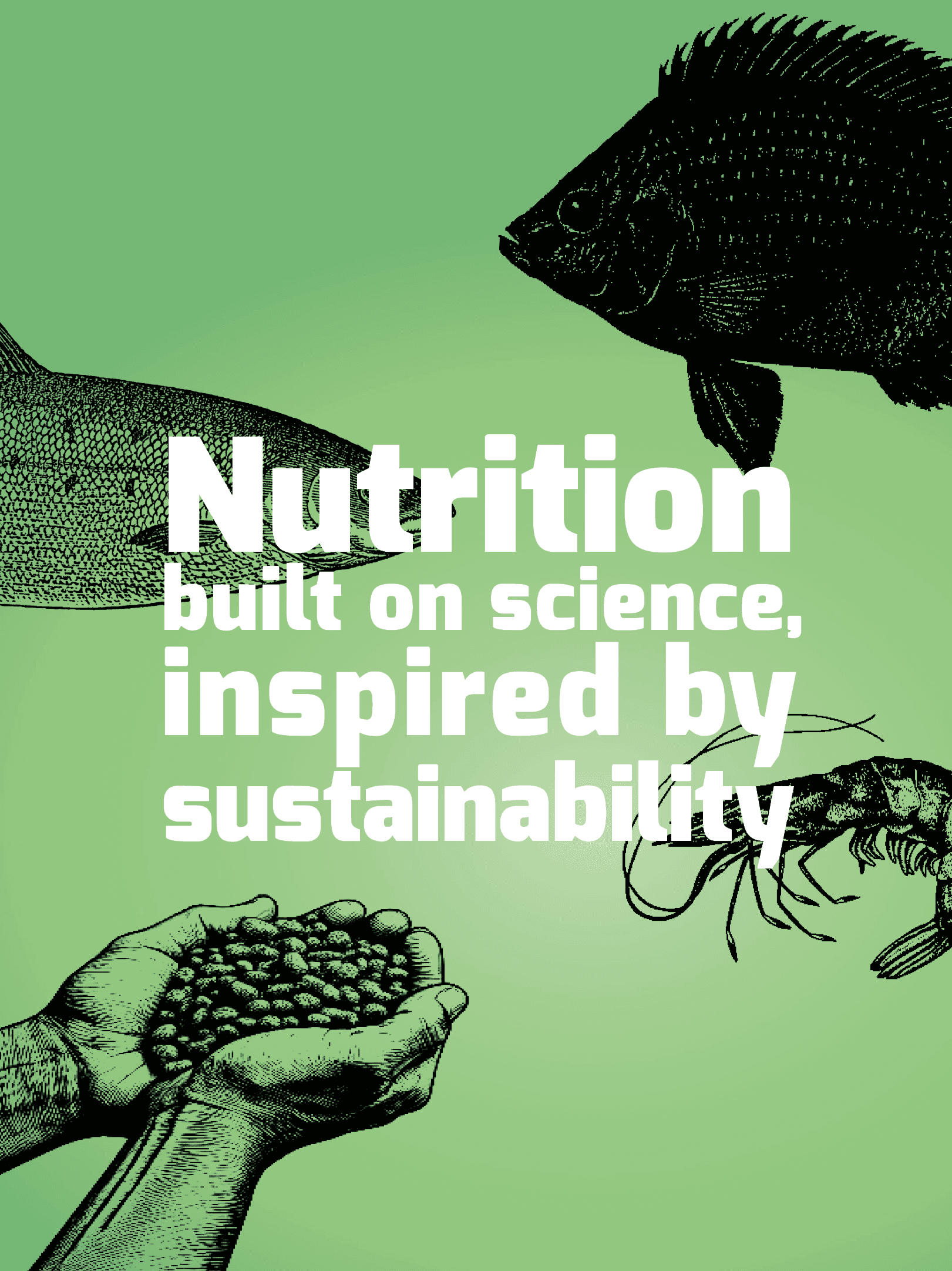 Illustration of a shrimp above hands holding shrimp feed, with text 'Lowering the carbon footprint of Shrimp Production'.