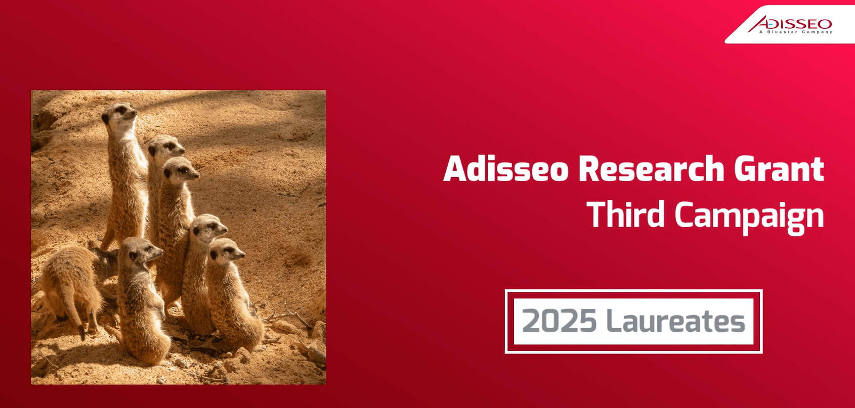 A group of meerkats stand together on sandy ground, alert and looking in various directions.