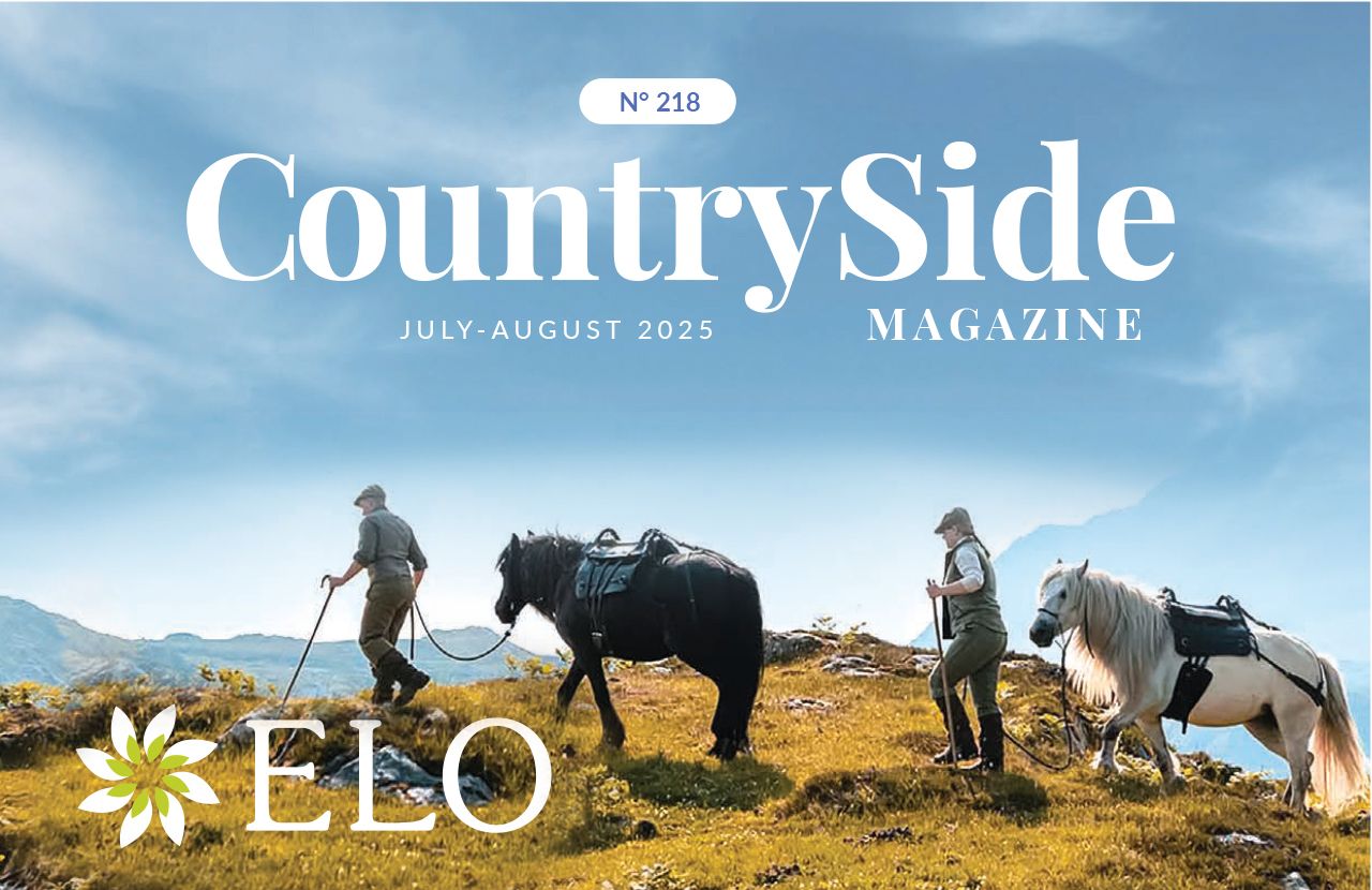 News Cover
