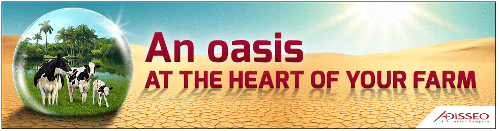 Desert and oasis bubble with cows. Text: 'An oasis AT THE HEART OF YOUR FARM'.