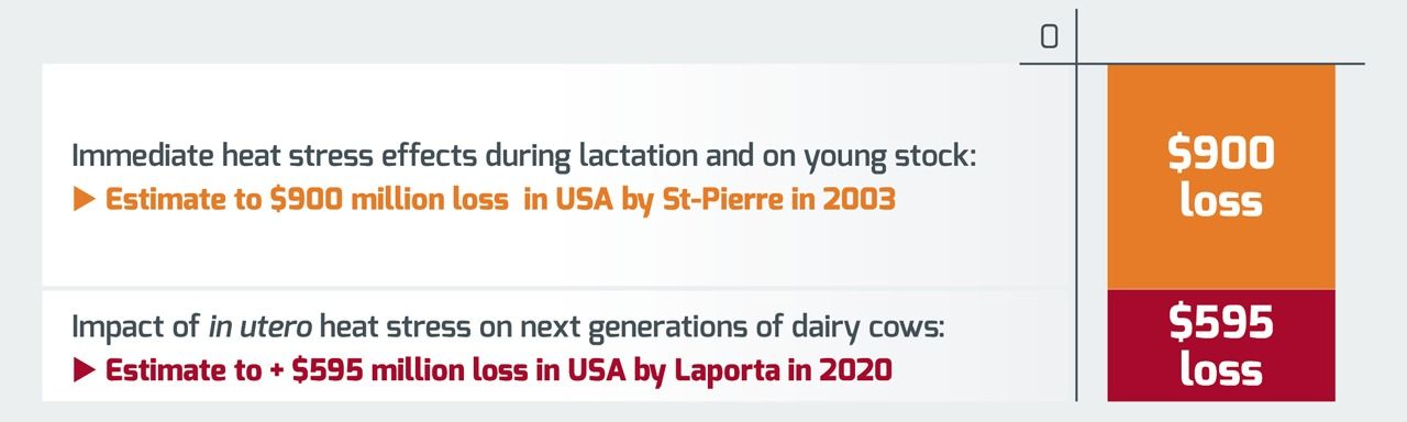 奶牛热应激造成的经济损失：9亿美元即时损失，5.95亿美元跨代损失。