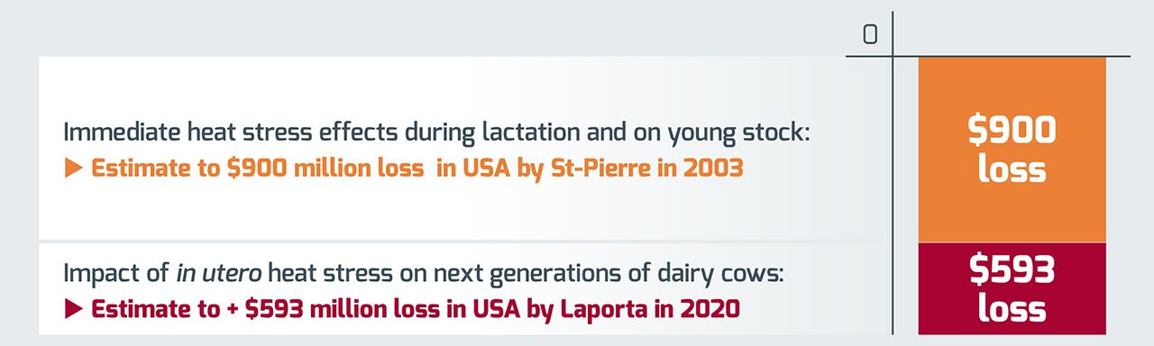 Financial losses due to heat stress in dairy cows during lactation and for future generations.