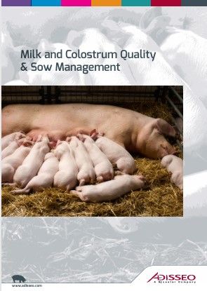 《乳汁与初乳质量及母猪管理》一书的封面，展示了一头正在哺育众多仔猪的母猪。