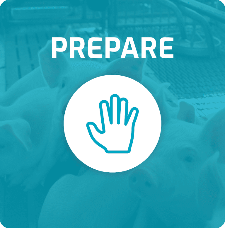 Blue overlay with "PREPARE" text and an open hand icon over pigs in a pen.