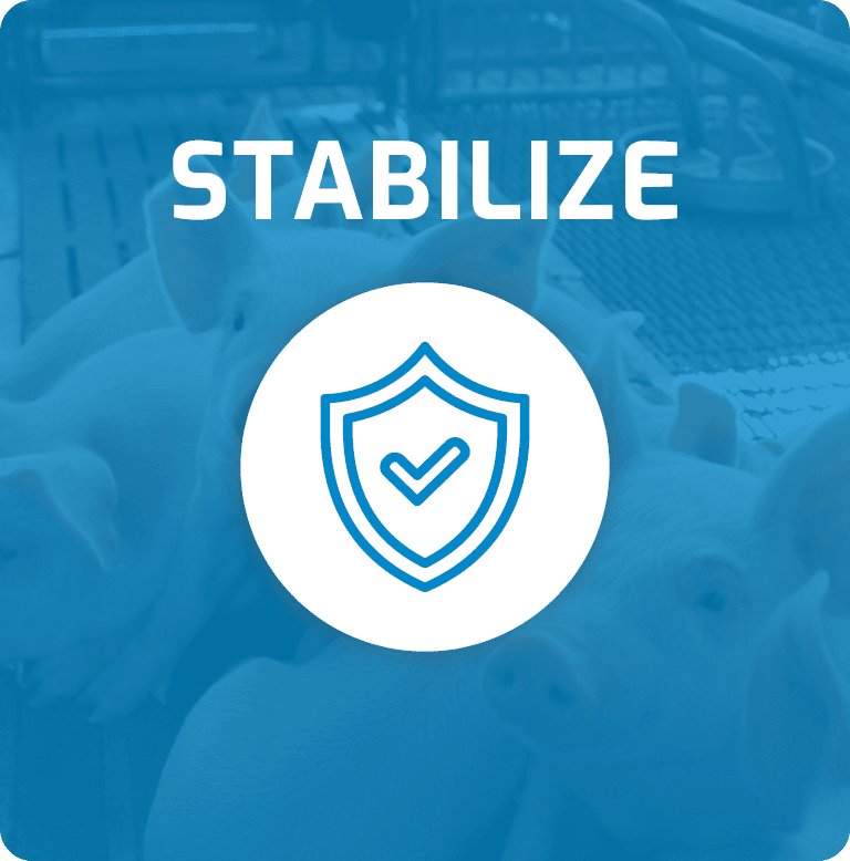 Blue overlay with "STABILIZE" text and a shield icon with a checkmark over pigs.