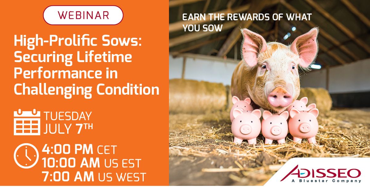 Annonce de webinaire : « Truie à haut rendement : garantir la performance », avec une truie et trois porcelets.