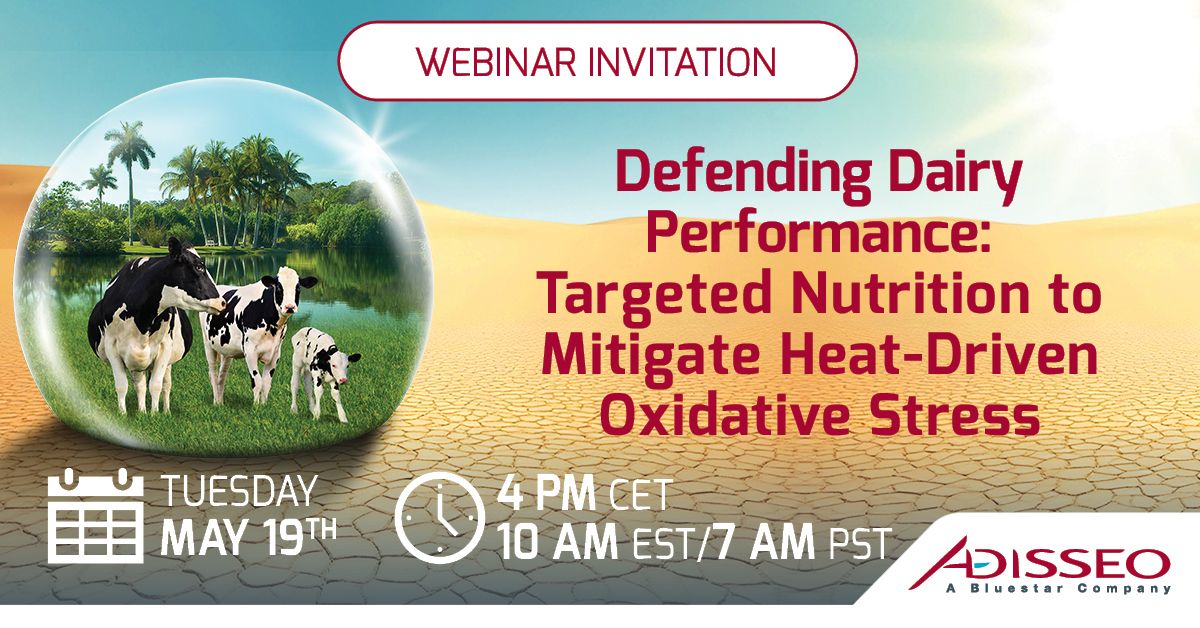 Webinar invitation on defending dairy performance with targeted nutrition to mitigate heat stress.