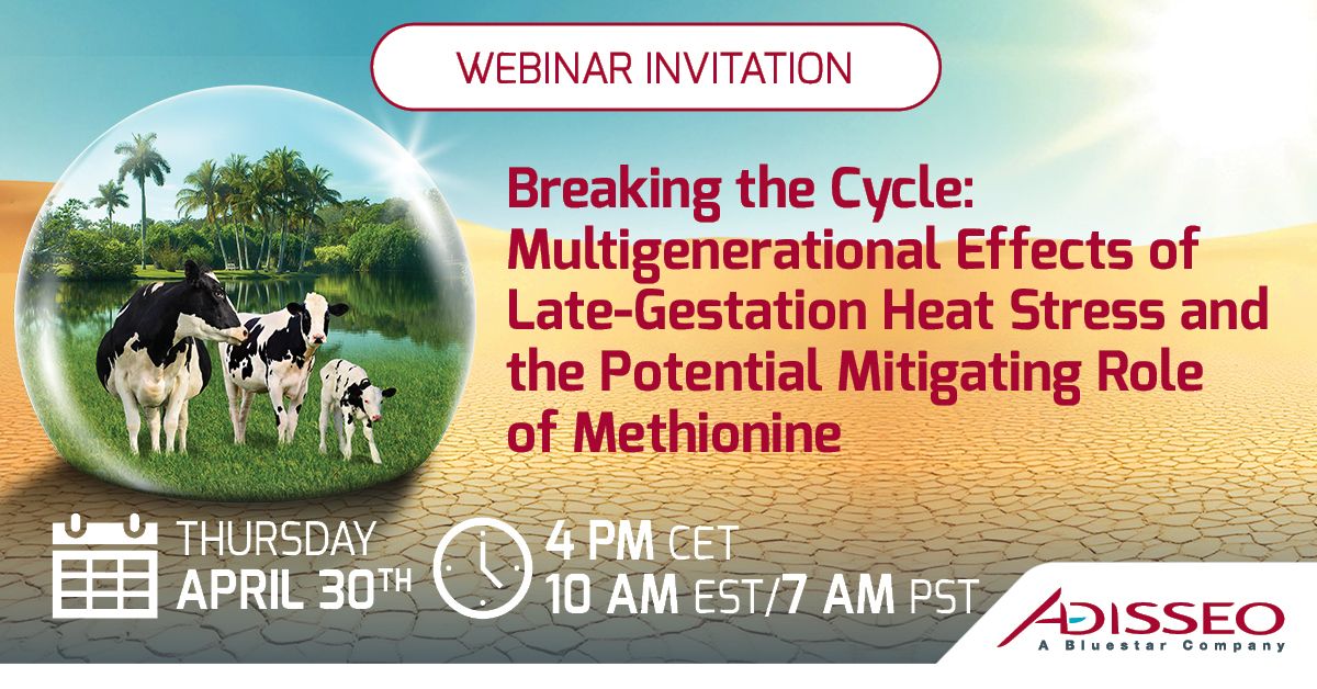 Adisseo webinar invitation on heat stress in cows, methionine mitigation, and multigenerational effects.