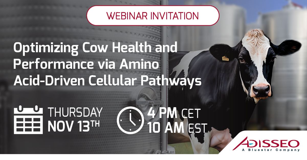 Invitation à un webinaire présentant une vache Holstein et un texte sur l'optimisation de la santé des vaches.