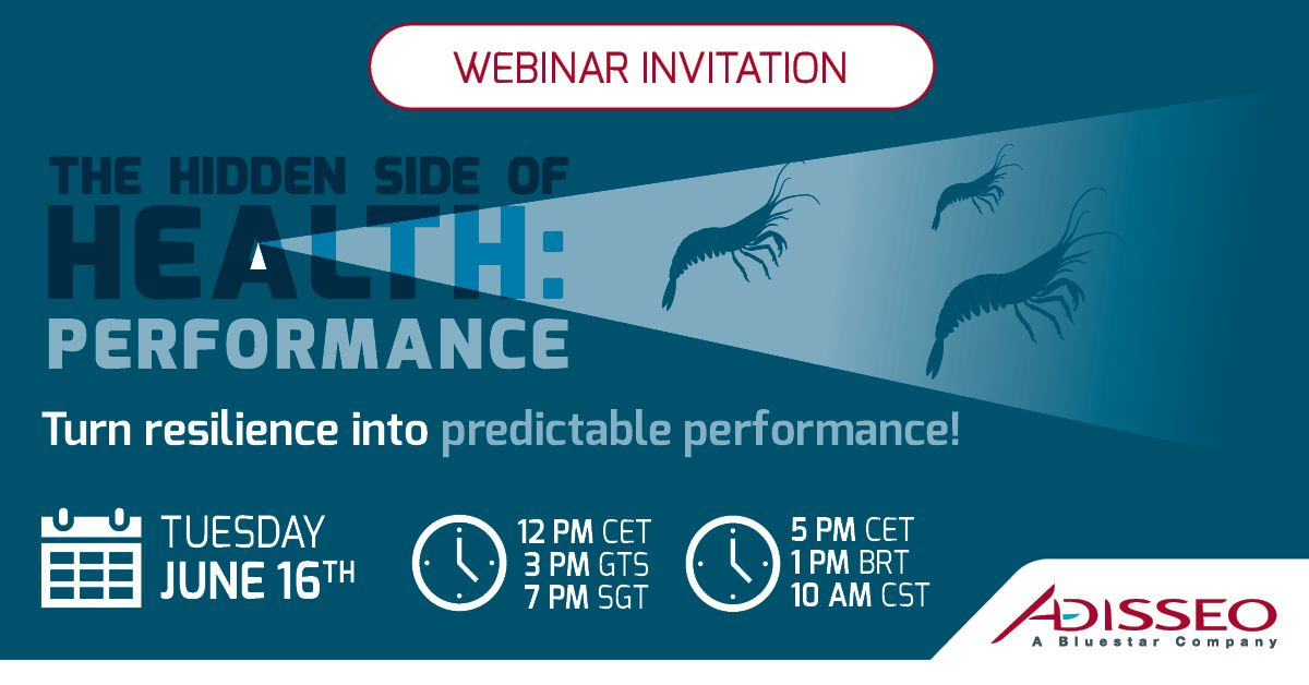 Webinar invitation for 'The Hidden Side of Health: Performance' by Adisseo on June 16th.
