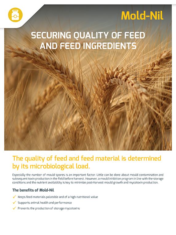 Mold-Nil Leaflet