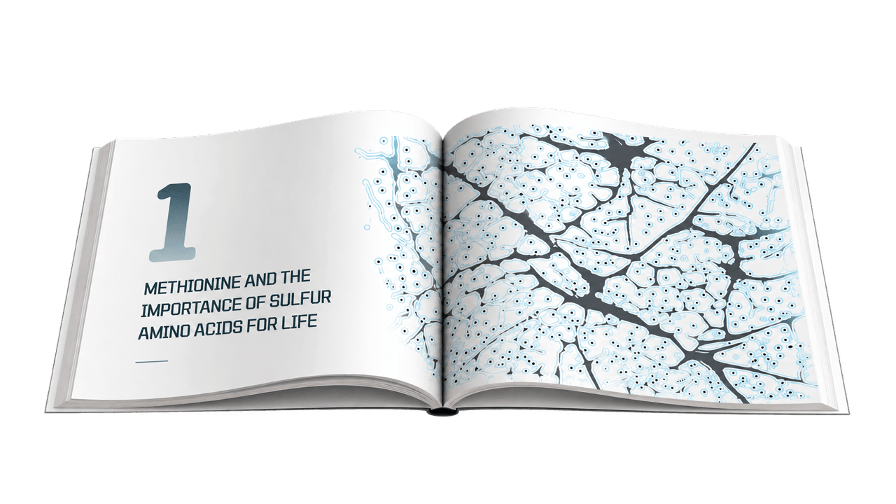 Open book displaying chapter one on methionine and the importance of sulfur amino acids.