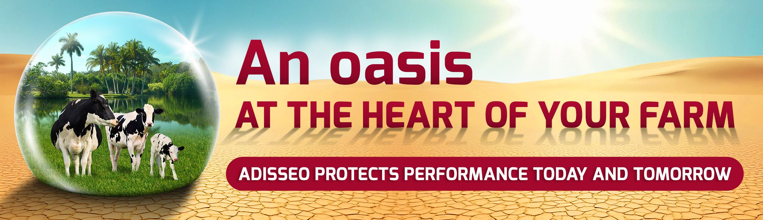 Cows in a green oasis bubble on a desert background, advertising Adisseo farm solutions.