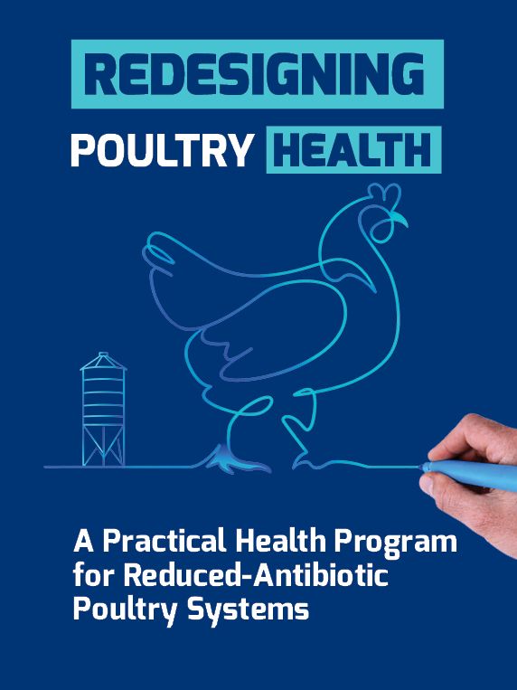 Hand drawing a chicken outline with text 'Redesigning Poultry Health' and program details.