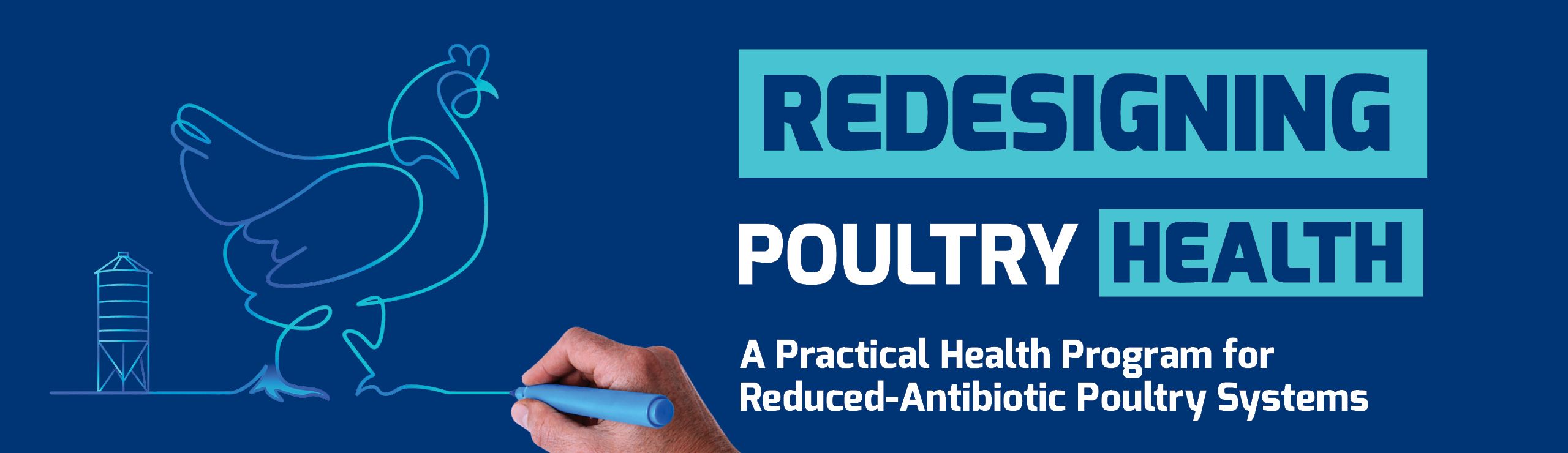 Hand drawing a chicken outline with text 'Redesigning Poultry Health' and program details.