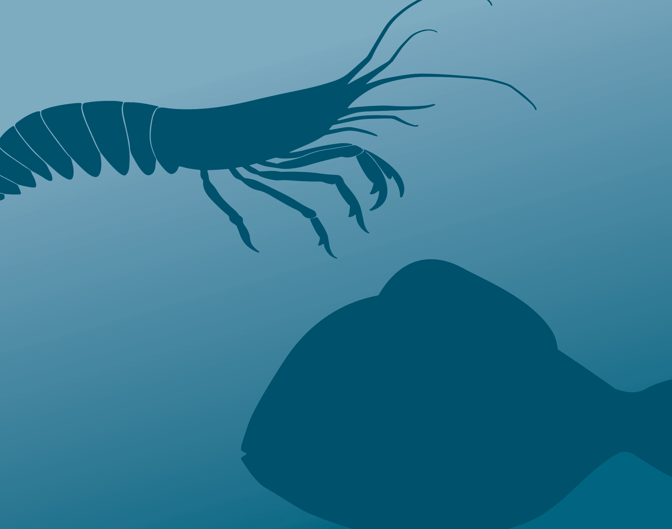 Silhouettes d'une crevette et d'un poisson dans un décor sous-marin bleu avec un faisceau lumineux.