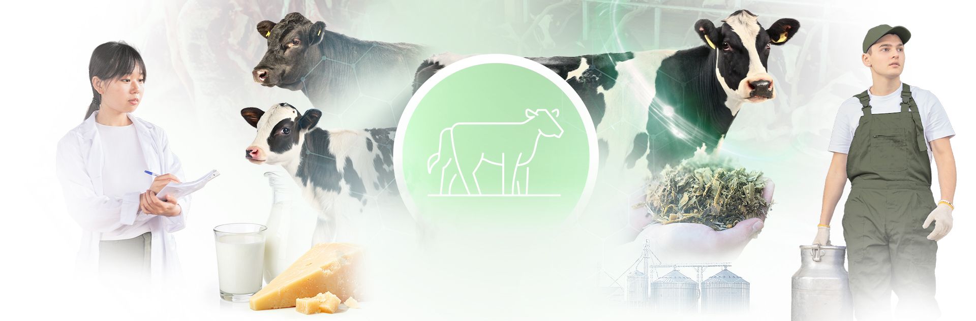 Collage sur la production laitière représentant un scientifique, un agriculteur, des vaches, des produits laitiers et des légumes verts à feuilles.
