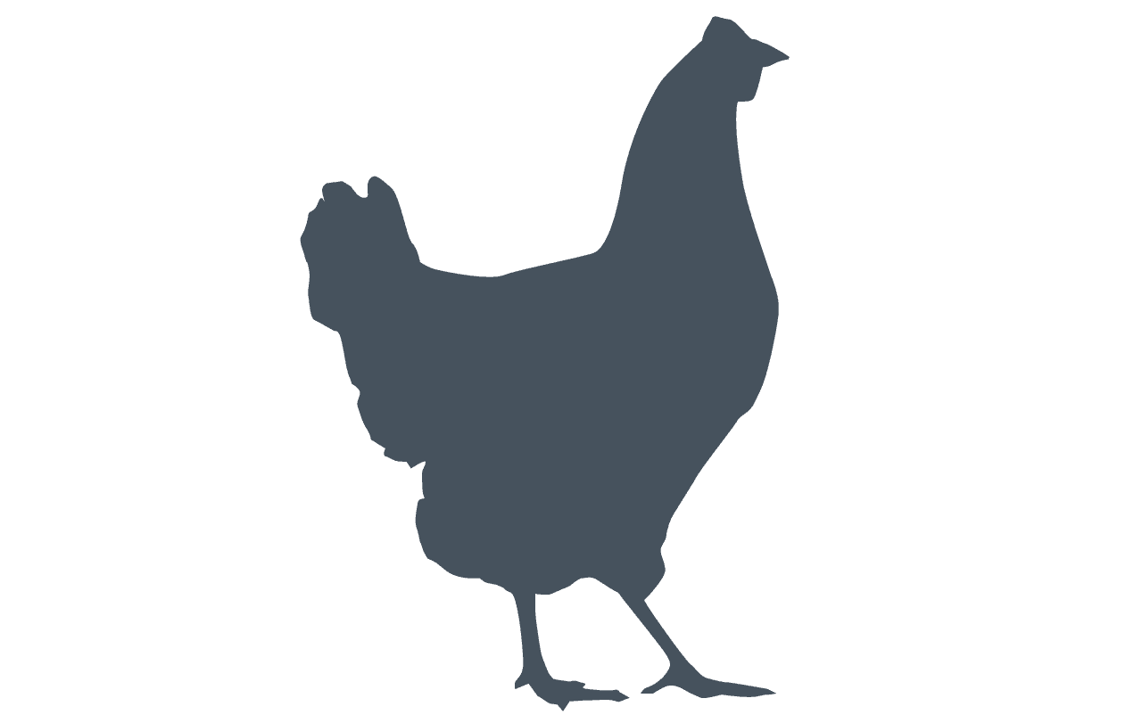 Silhouette of a chicken facing left.