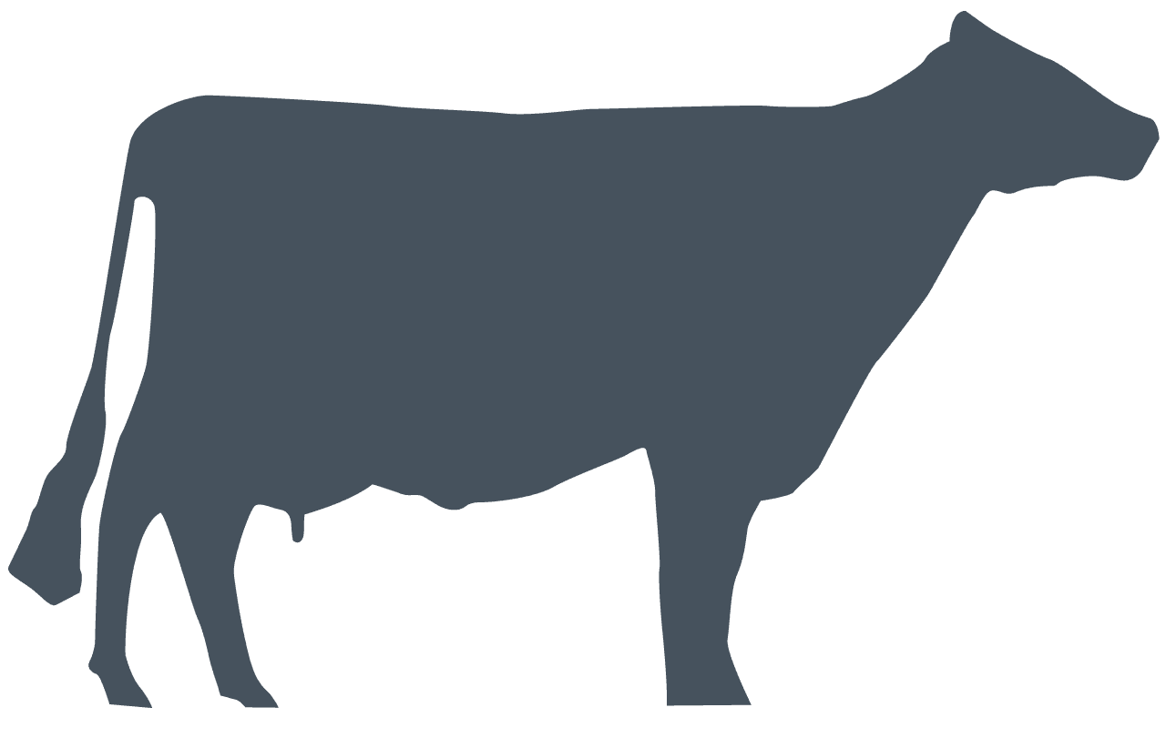 Silhouette of a cow facing left, with visible udder.