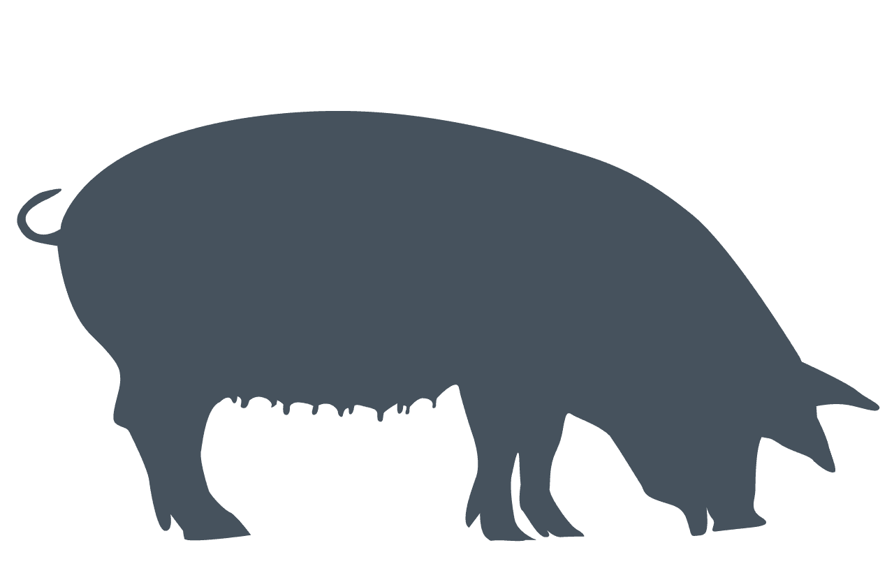 Silhouette of a pig facing right, with snout down.