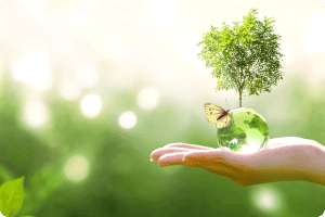 Sustainable growth