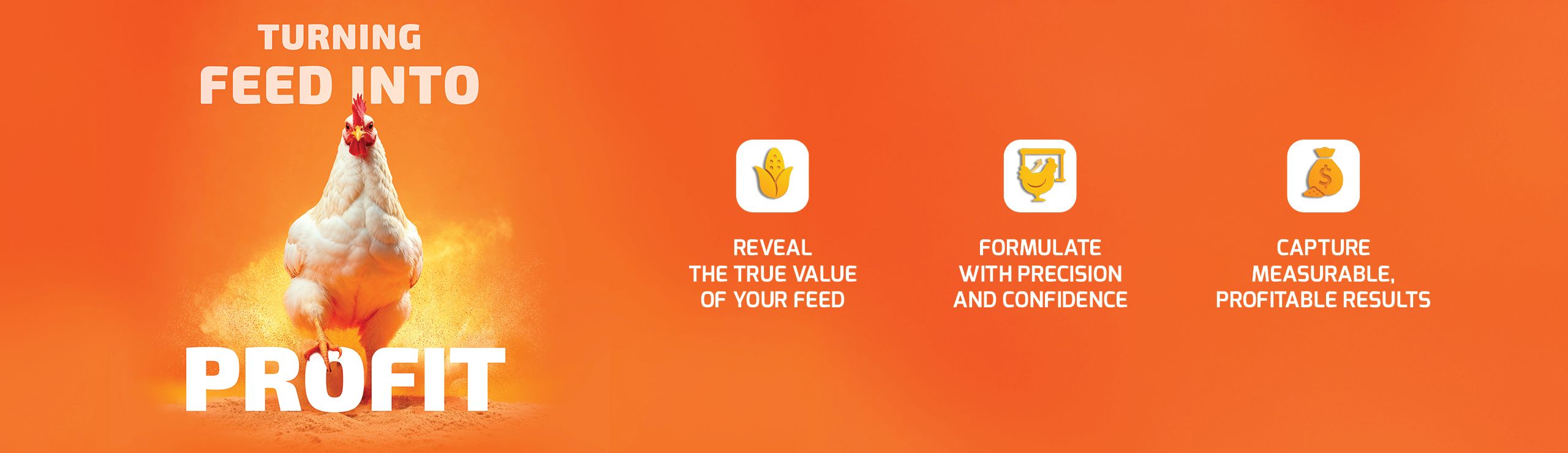 Graphic on turning feed into profit, with a chicken and three benefits icons.