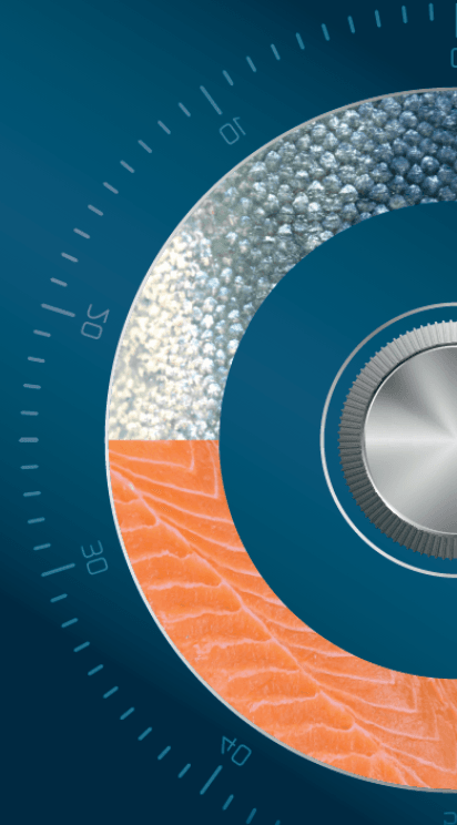 Circular graphic with granular silver and salmon-colored textures on a dark blue background.