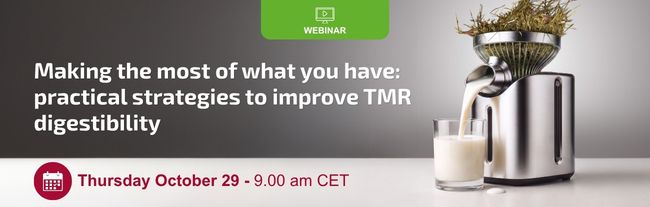 Bannière annonçant un webinaire consacré aux stratégies pratiques visant à améliorer la digestibilité du TMR, le 29 octobre.