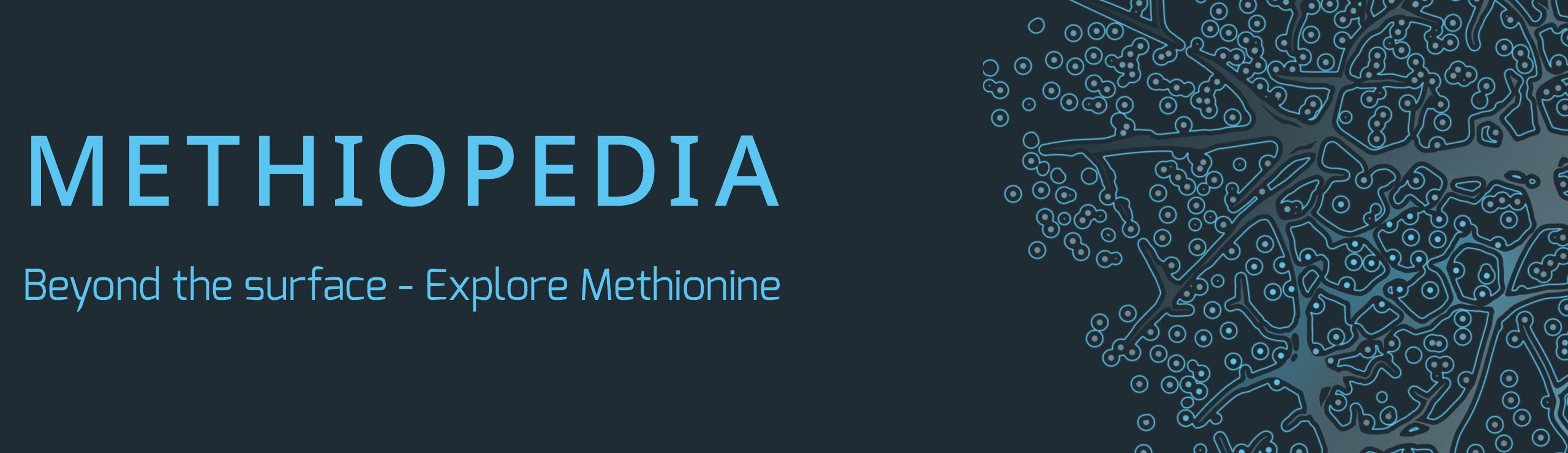 METHIOPEDIA logo with text: Beyond the surface - Explore Methionine.