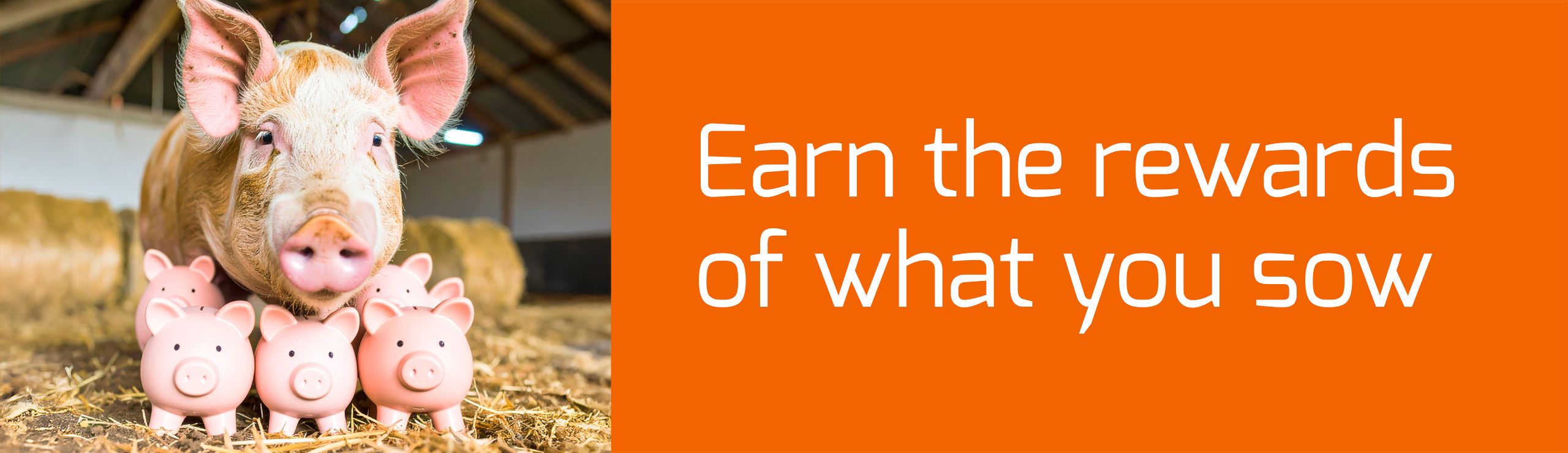 Un cochon, trois tirelires et le texte « Récoltez les fruits de vos efforts ».