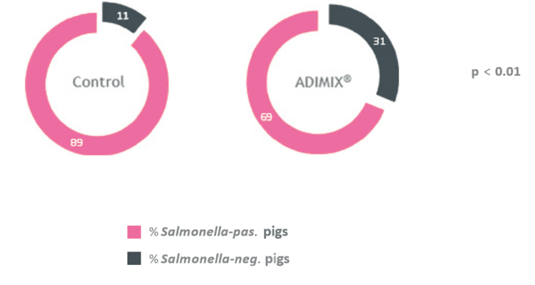 swine-21-figure-02-768x409.png