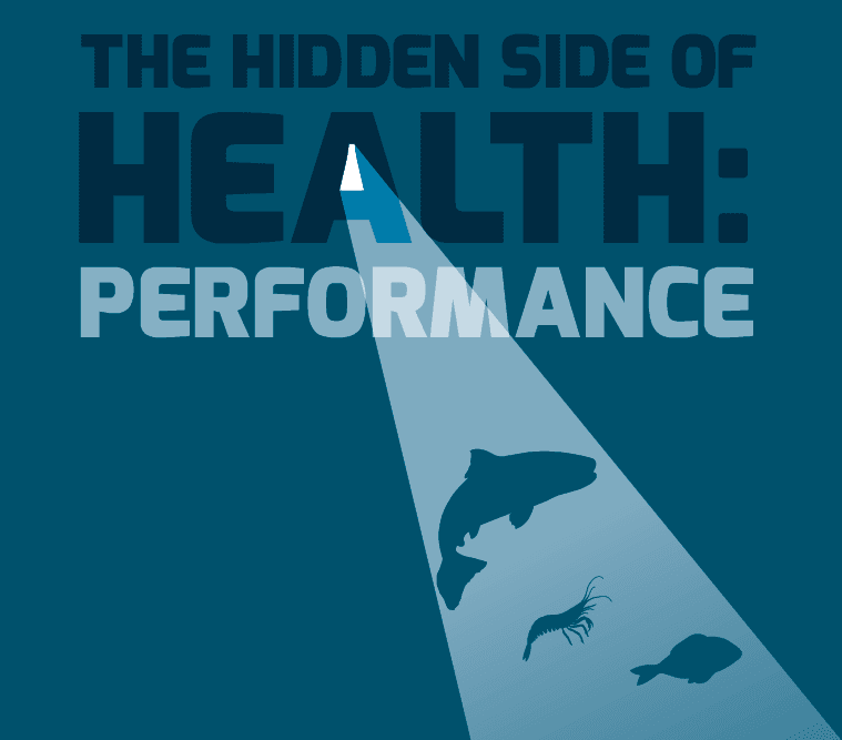 Text 'THE HIDDEN SIDE OF HEALTH: PERFORMANCE' with a spotlight on fish silhouettes.